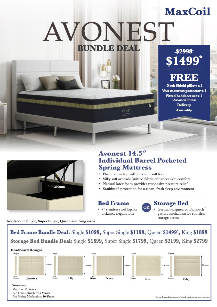 Maxcoil Avonest Individual Pocketed Spring Mattress Bundle (Free Bedframe!)