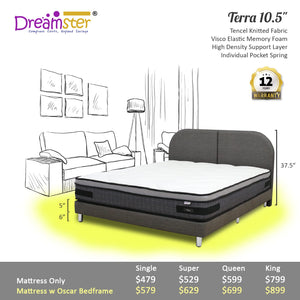 Dreamster Terra Memory Foam Euro Top Individual Pocketed Spring Mattress Bundle